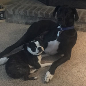 Meet your Posher, Sylvia